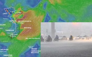 Dự báo số cơn bão, áp thấp nhiệt đới sắp xuất hiện trong tháng 8