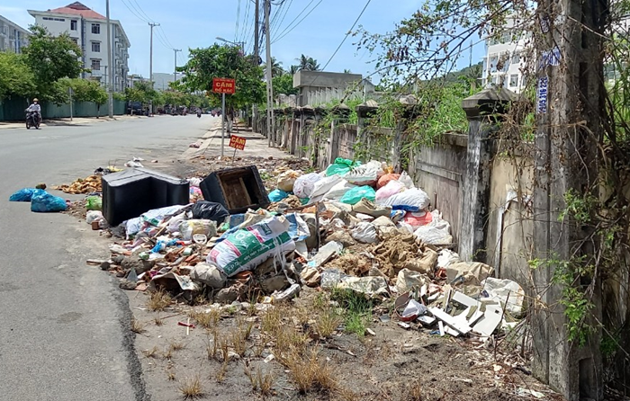 Tăng cường thanh kiểm tra, xử lý nghiêm các vi phạm về môi trường