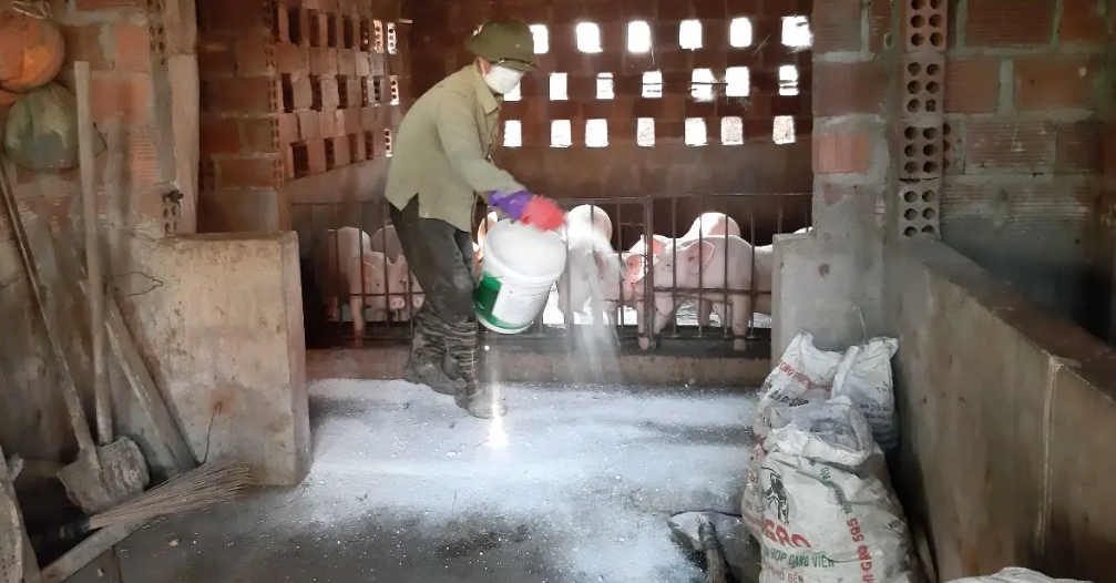 Xã ở Hưng Yên cấp 7 tấn vôi bột để khử trùng, tiêu độc chuồng trại