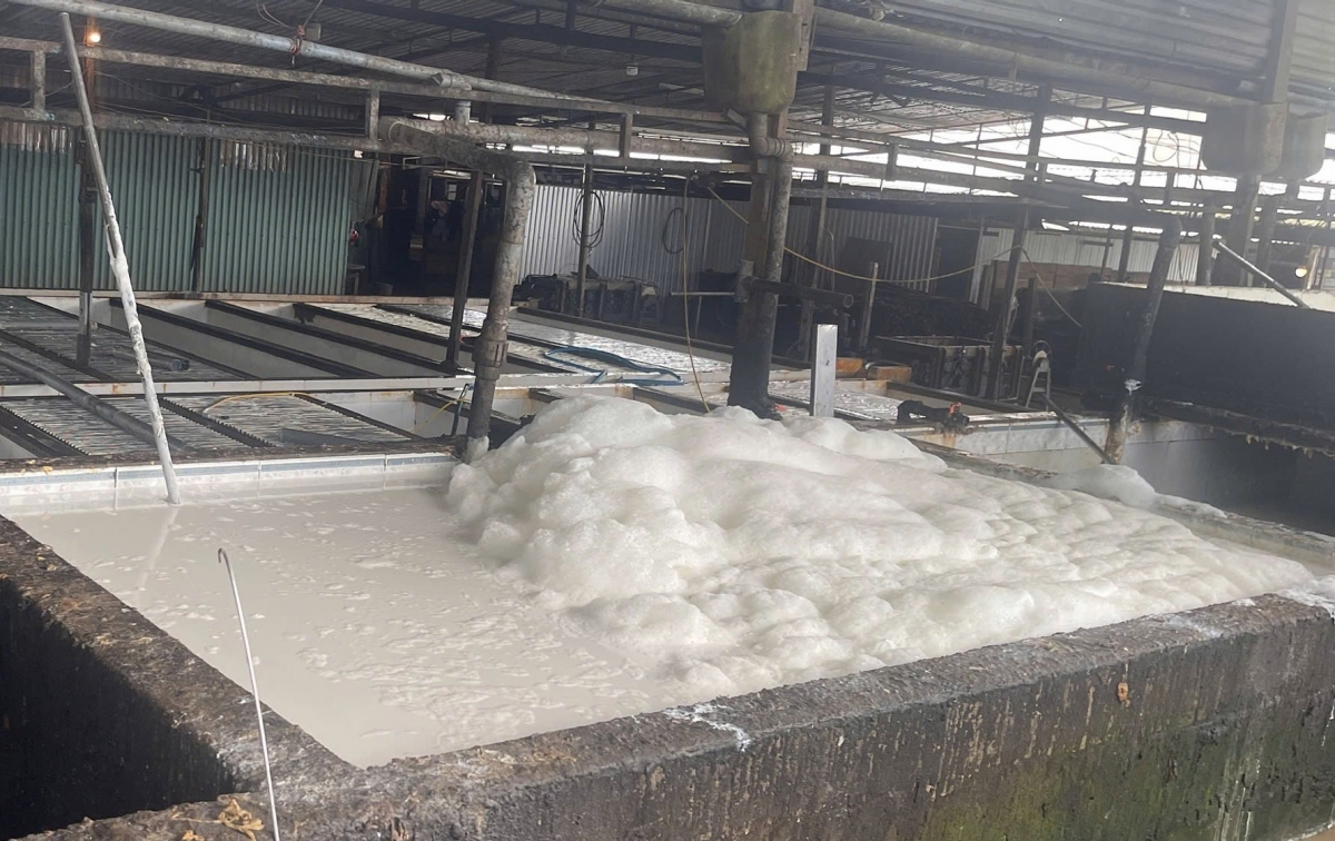 Kiểm tra và lập biên bản một số xưởng chế biến cao su hoạt động tự phát, tác động đến môi trường