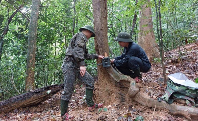 Thiết lập bẫy ảnh trong giám sát động vật hoang dã tại Vườn quốc gia Bạch Mã