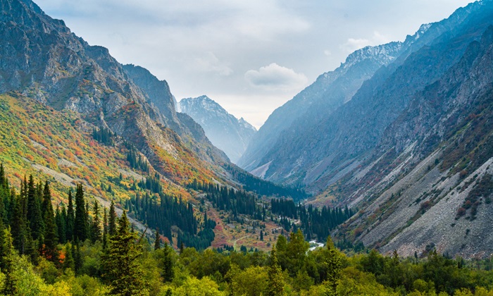 Kazakhstan ứng dụng công nghệ hiện đại trong bảo vệ rừng