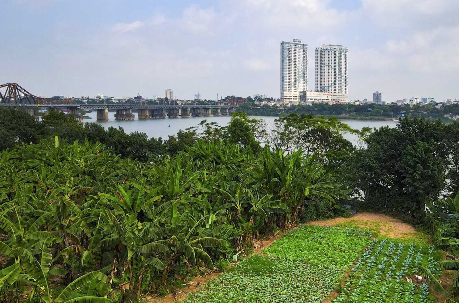 Hà Nội: Đề xuất cho phép xây dựng công trình phục vụ sản xuất trên đất nông nghiệp