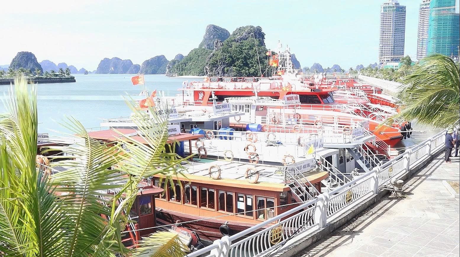 Hải Phòng, Quảng Ninh chủ động các phương án ứng phó siêu bão Ragasa