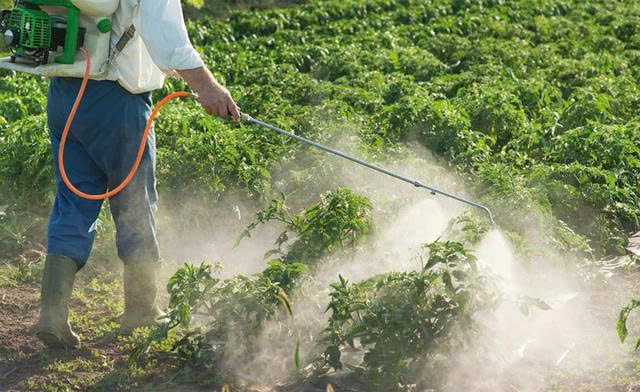 Cảm biến giúp phát hiện nhanh chất siêu độc bị cấm trong thuốc diệt cỏ