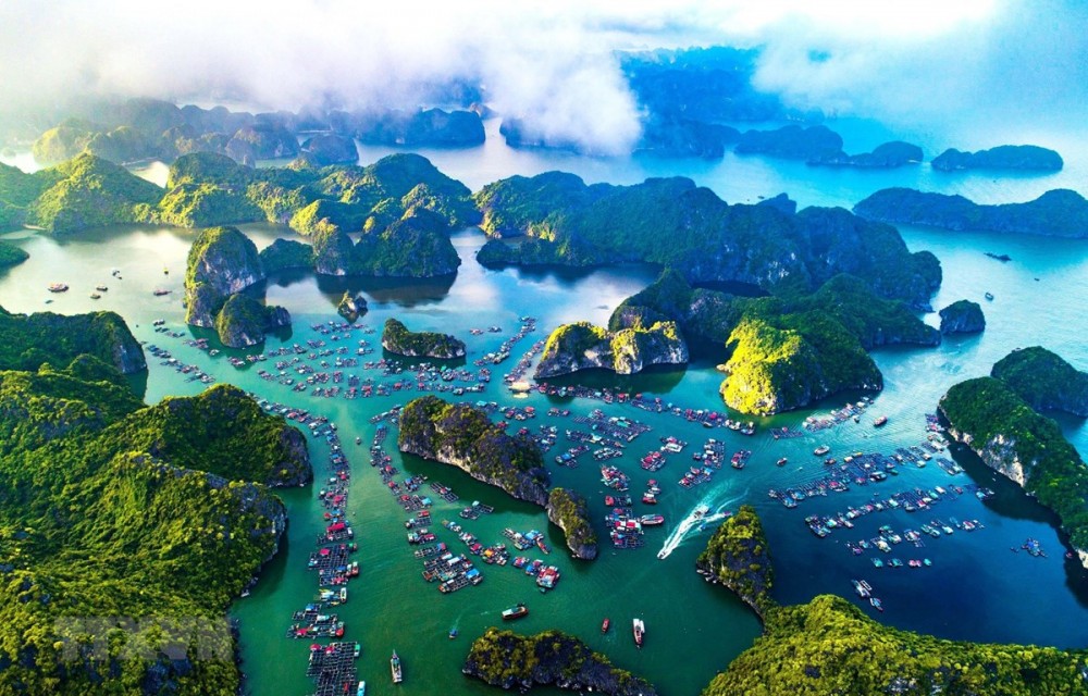 Khẩn trương triển khai kế hoạch thành lập khu bảo tồn biển ở Quảng Ninh
