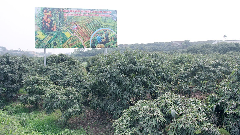 Bắc Ninh đẩy mạnh truy xuất nguồn gốc nông sản