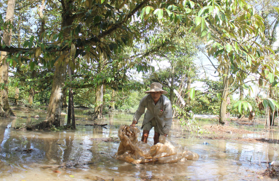 Đồng Tháp: Thiên tai gây thiệt hại gần 22 tỷ đồng
