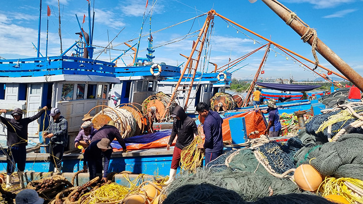 Đà Nẵng: Chuyển đổi số tạo động lực phát triển bền vững ngành thủy sản