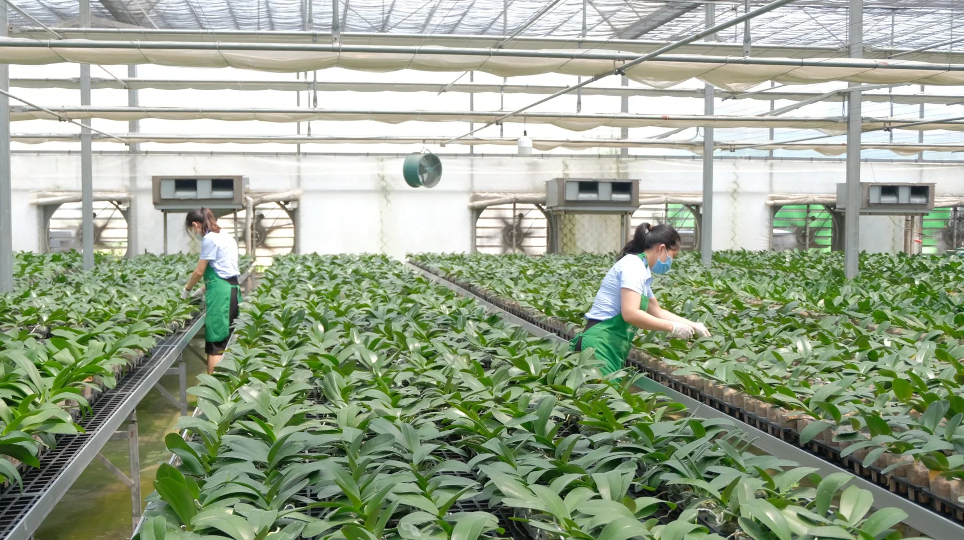 Hà Nội dẫn đầu cả nước về chuyển đổi số