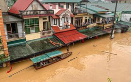 Biên phòng Quảng Trị triệt phá đường dây ma túy 'khủng' qua biên giới