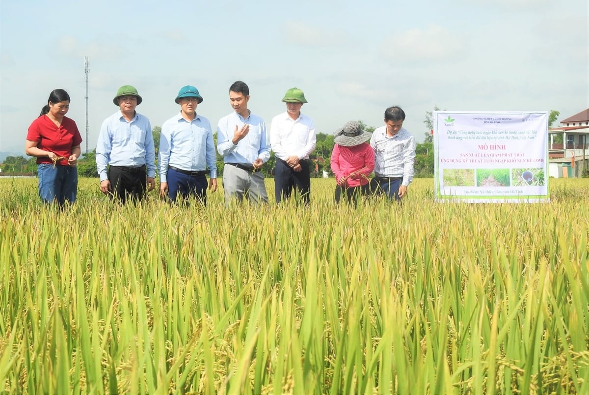 Hà Tĩnh đẩy mạnh áp dụng kỹ thuật tưới ngập - khô xen kẽ trong canh tác lúa