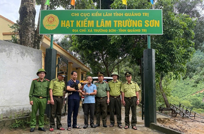 Quảng Trị: Liên tiếp tái thả các loài động vật hoang dã về môi trường tự nhiên