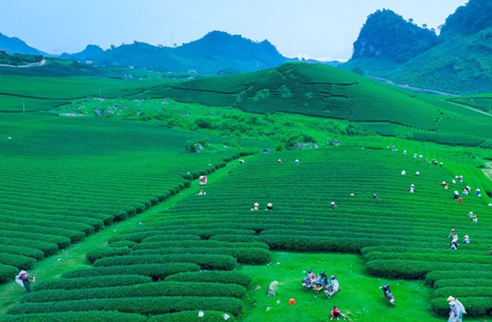 Giảm phát thải trong trồng trọt - cụ thể hóa cam kết giảm phát thải