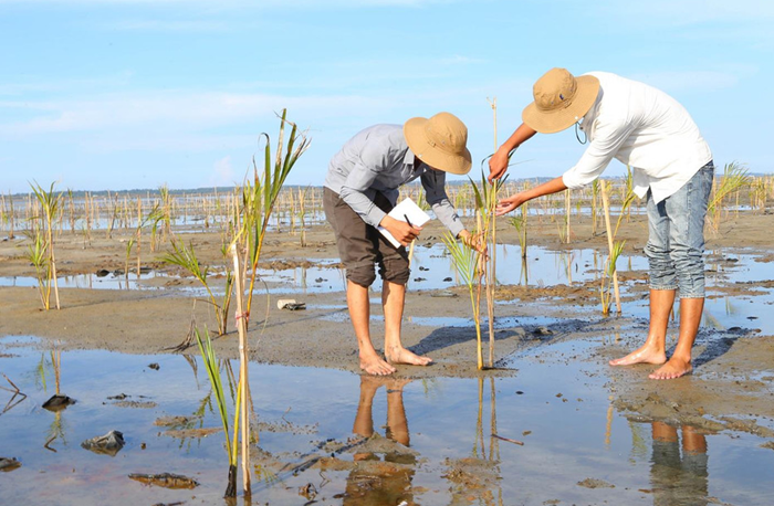 NDC3.0 Việt Nam được tính toán cụ thể, bài bản, tính khả thi cao khi thực hiện