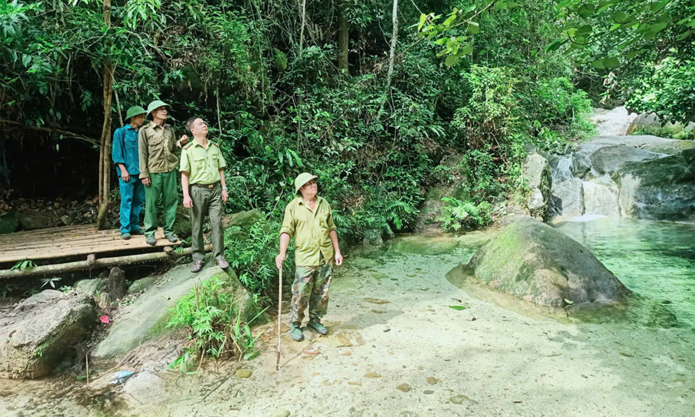 Bảo tồn đa dạng sinh học, phát huy hiệu quả giá trị từ rừng ở Bắc Ninh