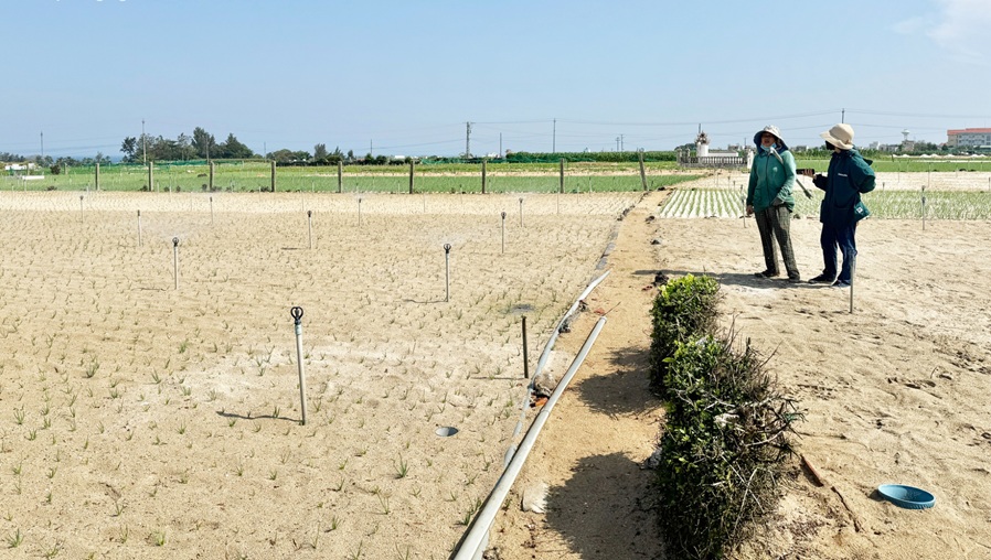 Lý Sơn ứng dụng khoa học công nghệ phát triển nông nghiệp bền vững