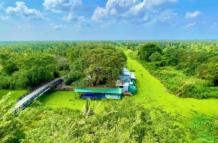 Cà Mau: Phát triển du lịch sinh thái gắn với bảo vệ tài nguyên rừng