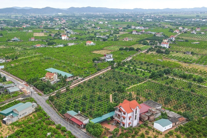 Cần thận trọng khi áp dụng bảng giá đất và hệ số điều chỉnh