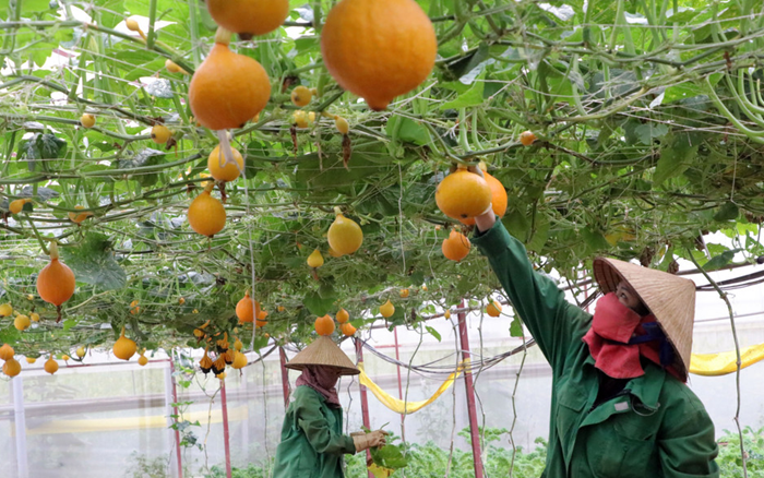 ‘Chuyển từ canh tác mang tính khai thác sang nông nghiệp tái tạo’