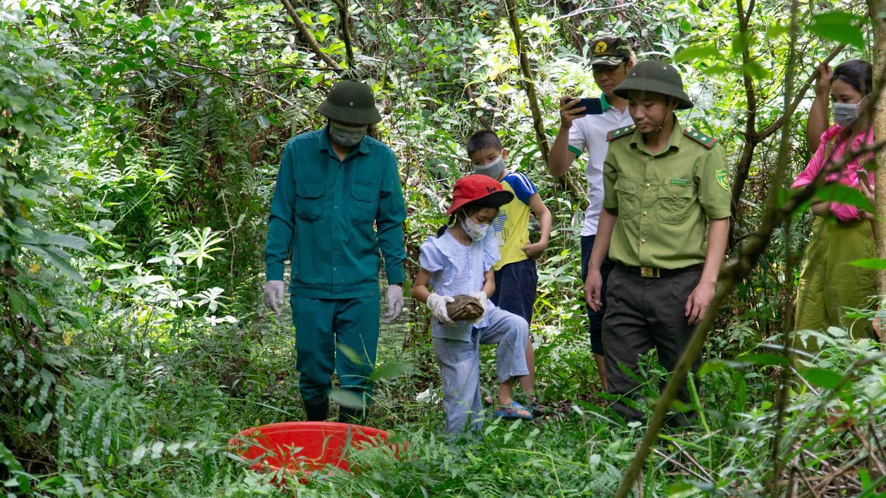 Chú trọng bảo tồn rừng và động vật hoang dã tại Vườn Quốc gia Cát Tiên