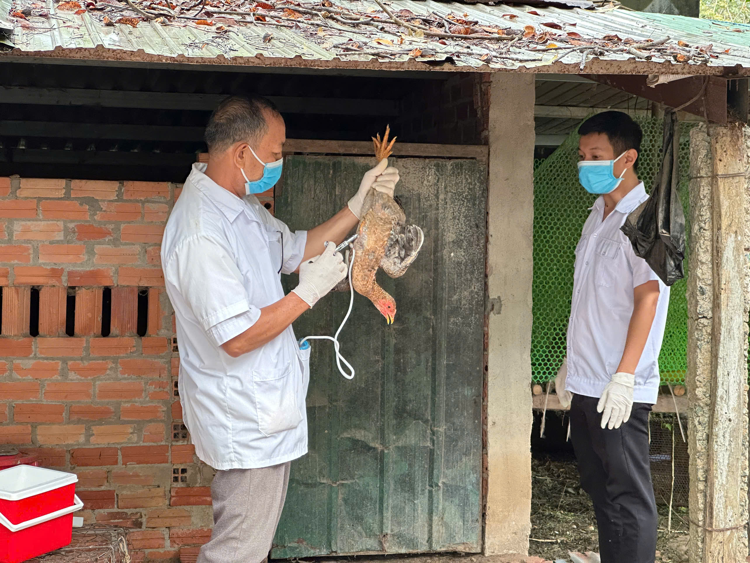 Phước Thành: Đẩy nhanh tiến độ tiêm phòng, nâng cao miễn dịch đàn vật nuôi