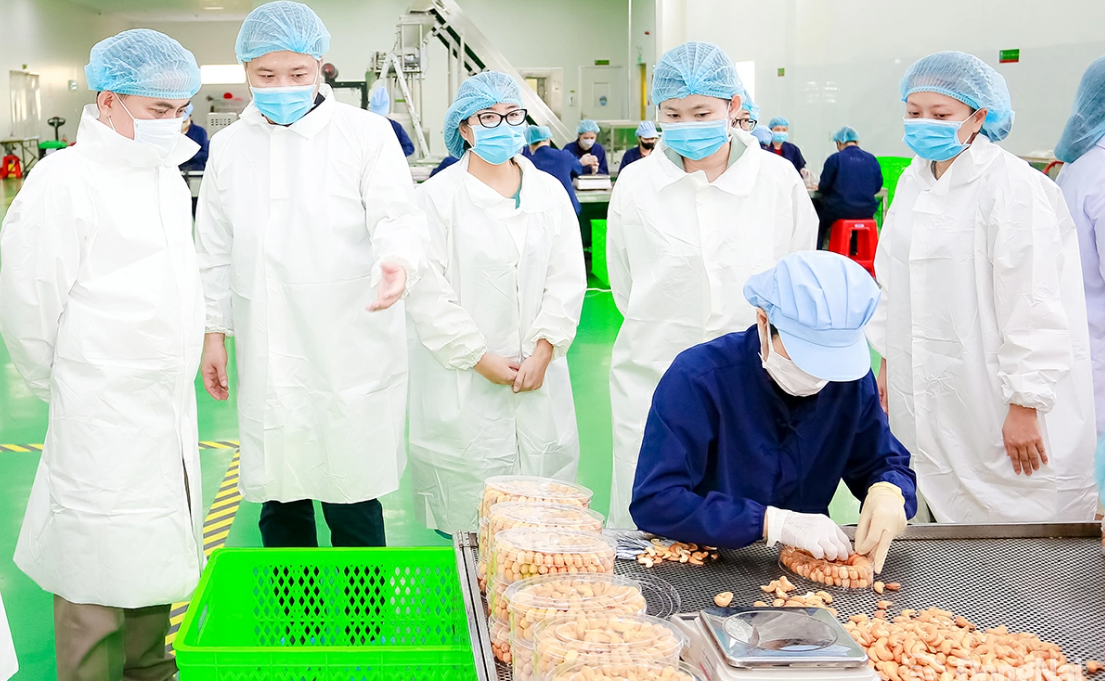 Đồng Nai: Kiểm soát chặt chẽ môi trường trong sản xuất công nghiệp nông thôn