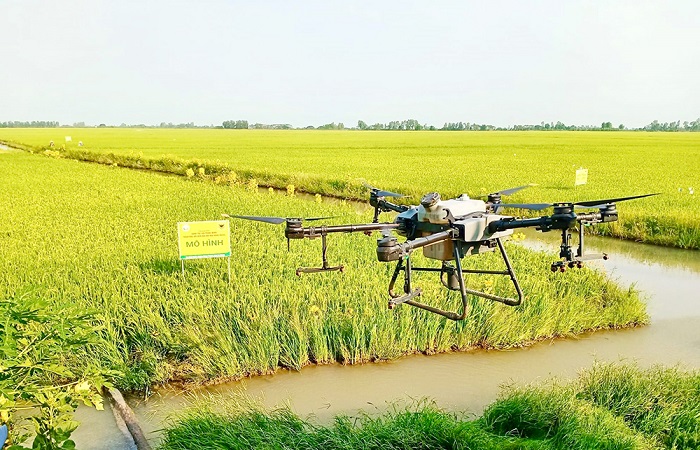 Thúc đẩy chuyển đổi số nâng cao giá trị sản xuất tại các hợp tác xã