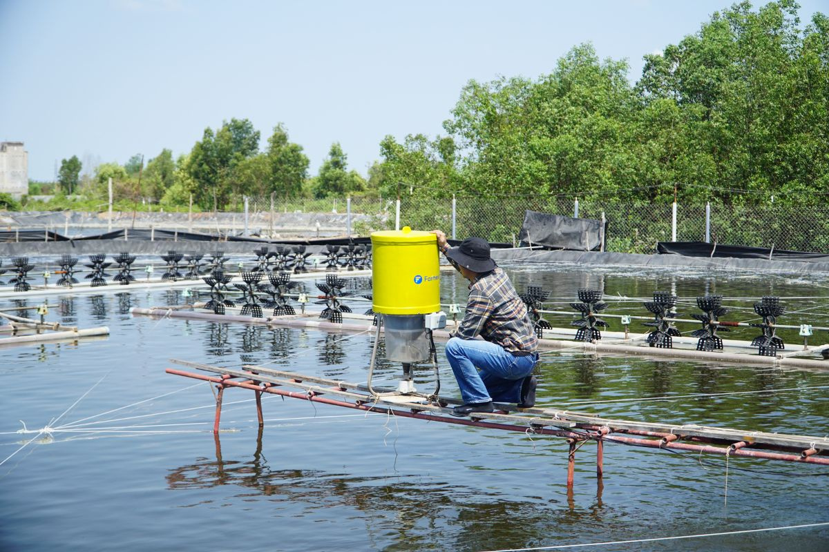 Ứng dụng công nghệ số trong giám sát nguồn nước nuôi thuỷ sản