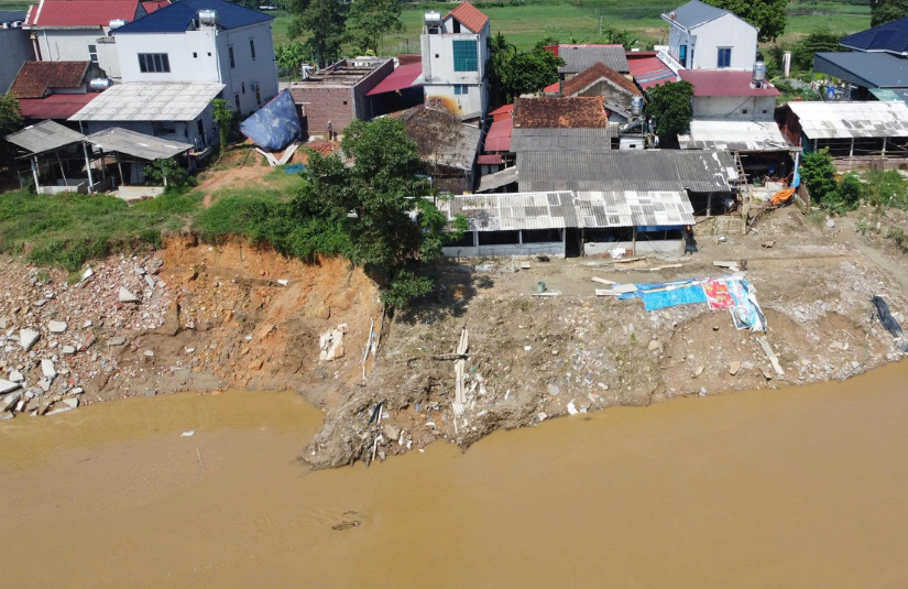 Phú Thọ: Xử lý khẩn cấp sự cố sạt lở đê hữu sông Lô tại xã Dân Chủ