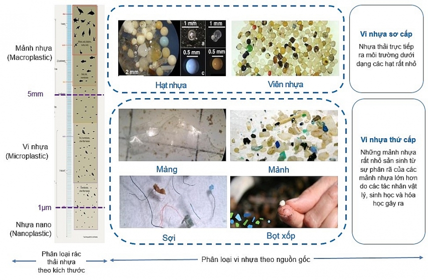 Giật mình khi biết rõ nguồn gốc của vi nhựa và mức độ ô nhiễm đáng báo động
