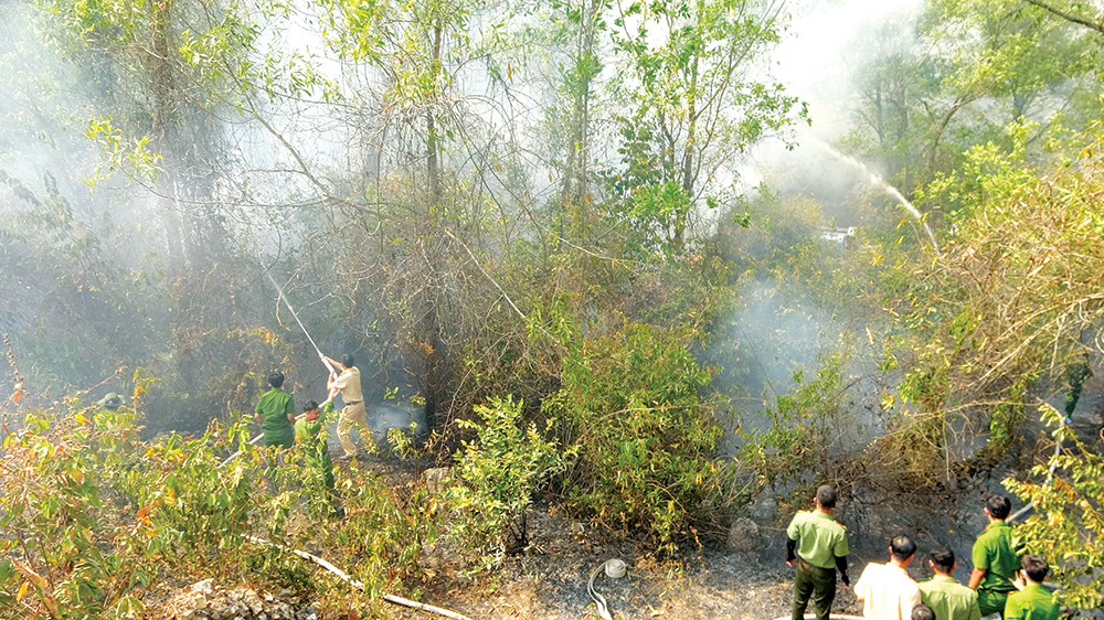 An Giang nâng cao hiệu quả quản lý, bảo vệ rừng