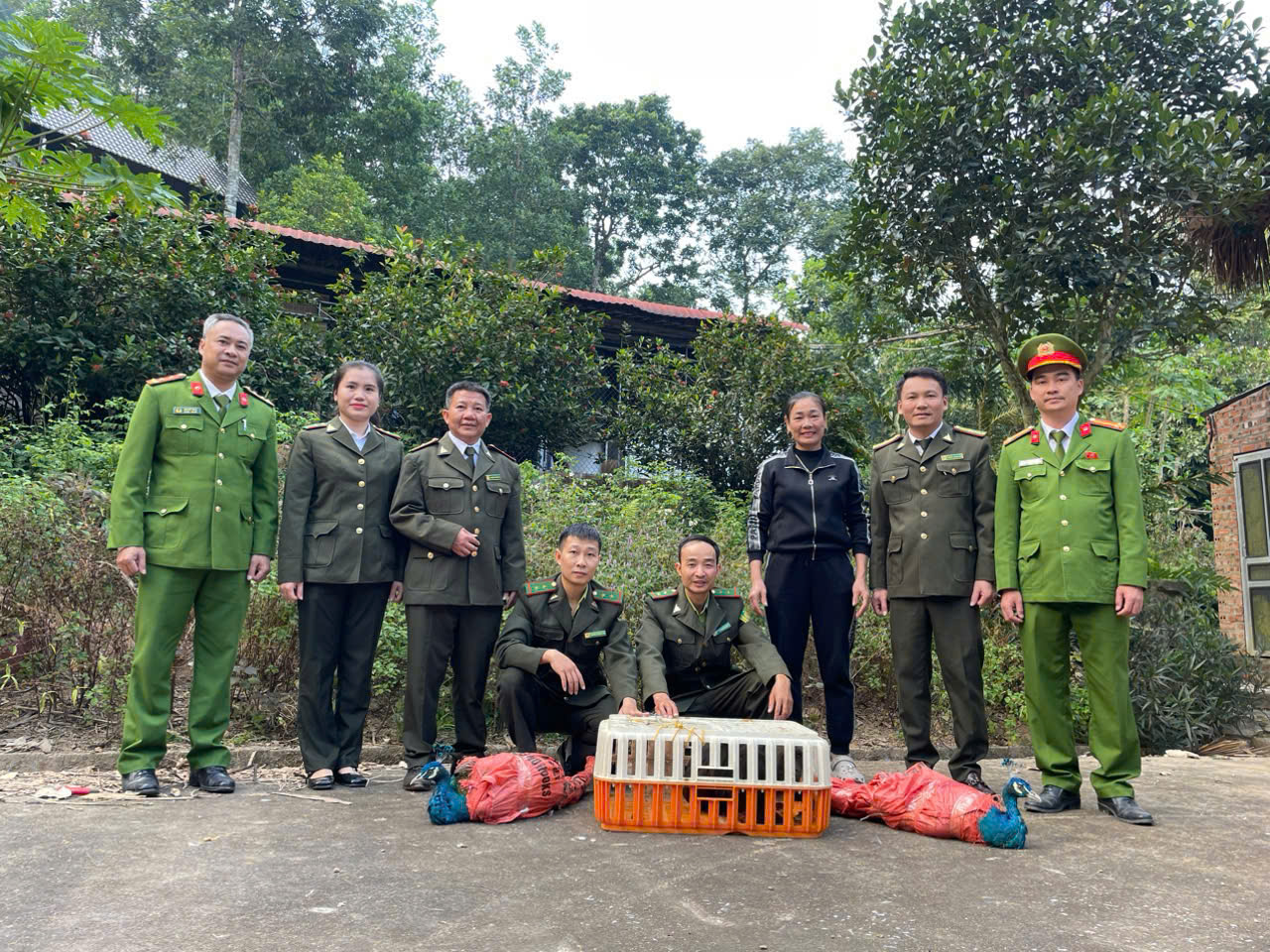 Thanh Hóa: Tiếp nhận 3 cá thể động vật quý hiếm do người dân giao nộp