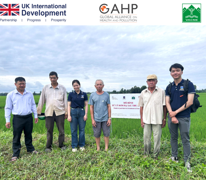 Hiệu quả từ mô hình xử lý rơm rạ bằng chế phẩm vi sinh