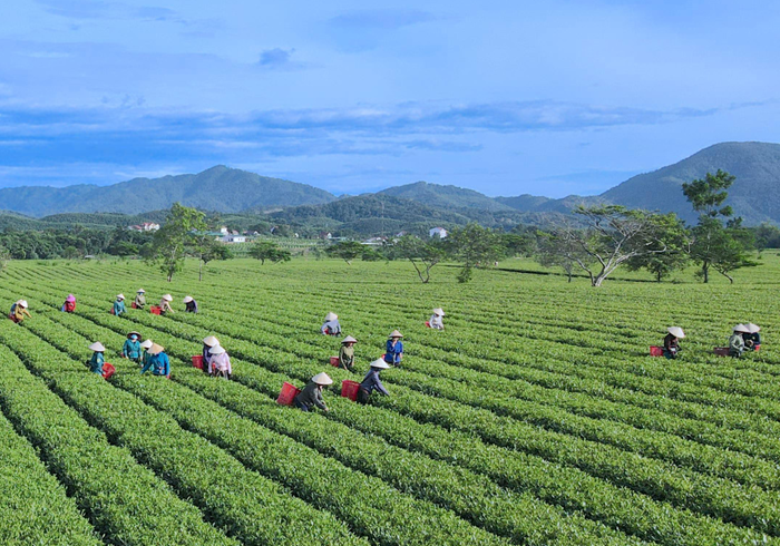 Thủ tướng chỉ đạo các nhóm nhiệm vụ trọng tâm về giảm phát thải ròng