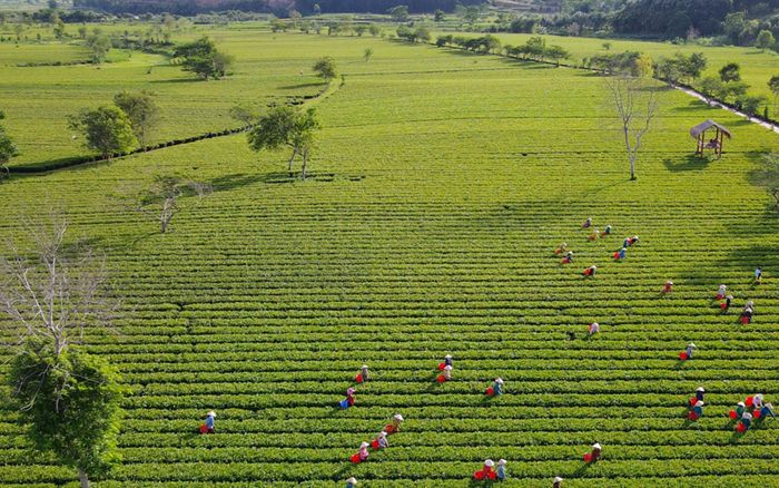 Ngành nghề phục vụ mục tiêu bảo vệ môi trường, tài nguyên thiên nhiên được ưu tiên thu hút đầu tư