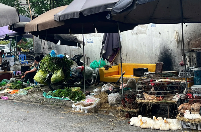 Lộ trình giải tỏa chợ cóc Hà Nội