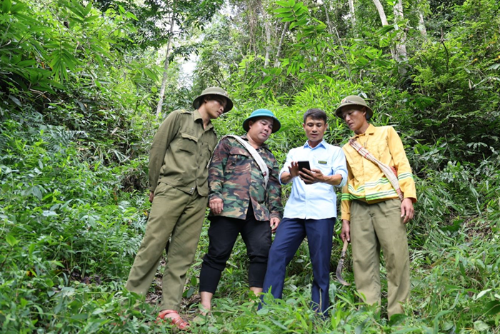 Thu từ dịch vụ môi trường rừng đạt gần 3.950 tỷ đồng năm 2025