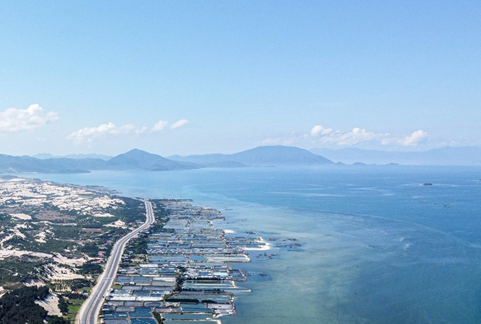 Các trường hợp bị thu hồi khu vực biển