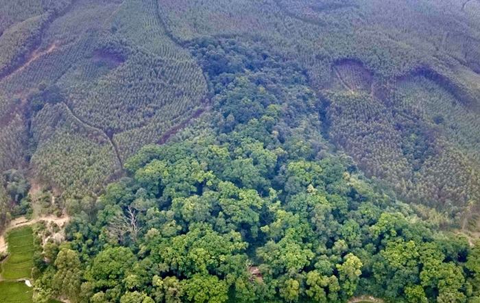 Bắc Ninh kiểm soát chặt chẽ các hoạt động có nguy cơ gây cháy rừng