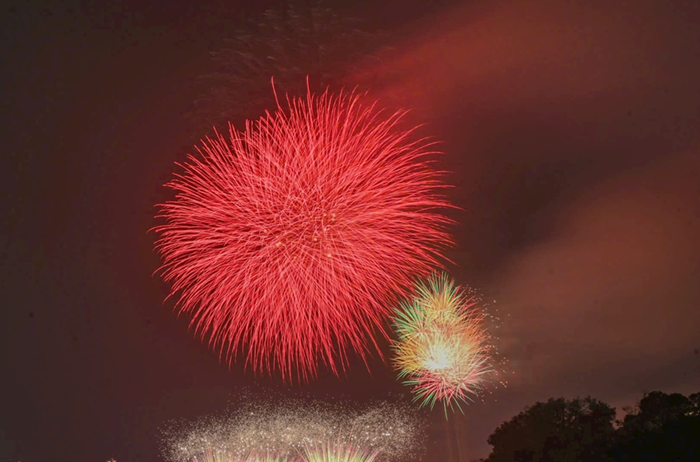 Thế giới chào đón năm 2026