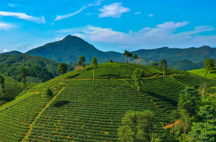 Lộ trình xây dựng, tổ chức vận hành sàn giao dịch carbon trong nước