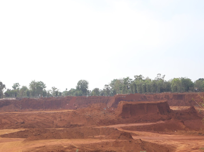 Địa phương góp ý các nghị định hướng dẫn thi hành 15 luật về nông nghiệp và môi trường