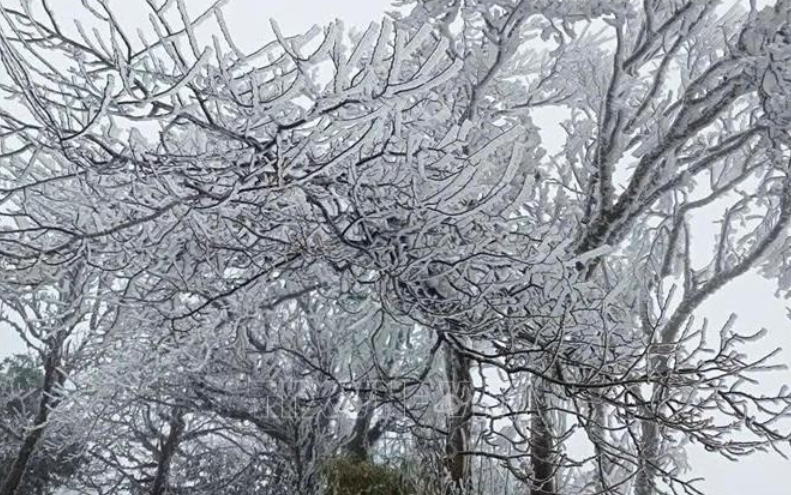 Thời tiết ngày 23/1: Bắc Bộ rét đậm, rét hại, có nơi dưới 3 độ C