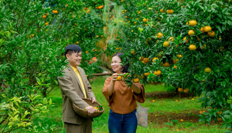 Thúc đẩy sản xuất nông nghiệp gắn với du lịch trải nghiệm