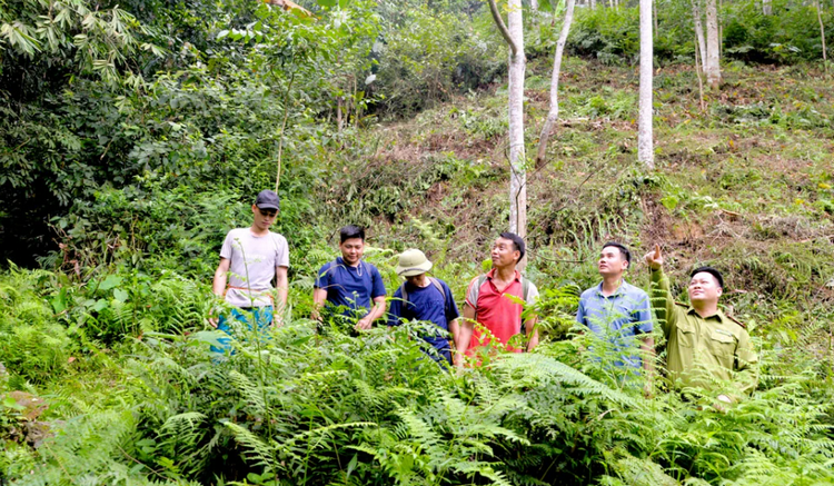 Lào Cai: Ban hành Bảng giá tính thuế tài nguyên năm 2026   
