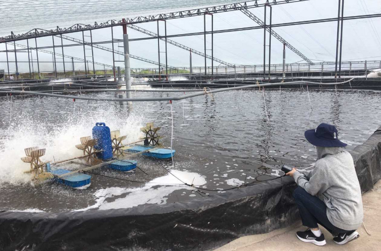 Bảo vệ môi trường trong nuôi trồng thủy sản ở Đồng Nai