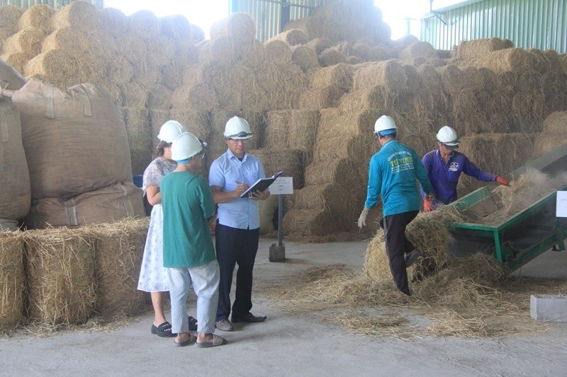 Viên nén sinh khối từ rơm rạ