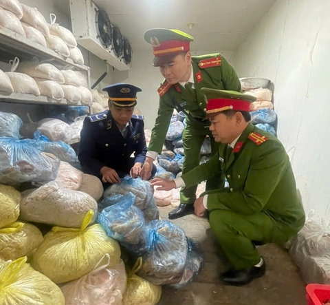 Phát hiện 1 tấn da lợn bốc mùi chuẩn bị tuồn ra thị trường dịp Tết