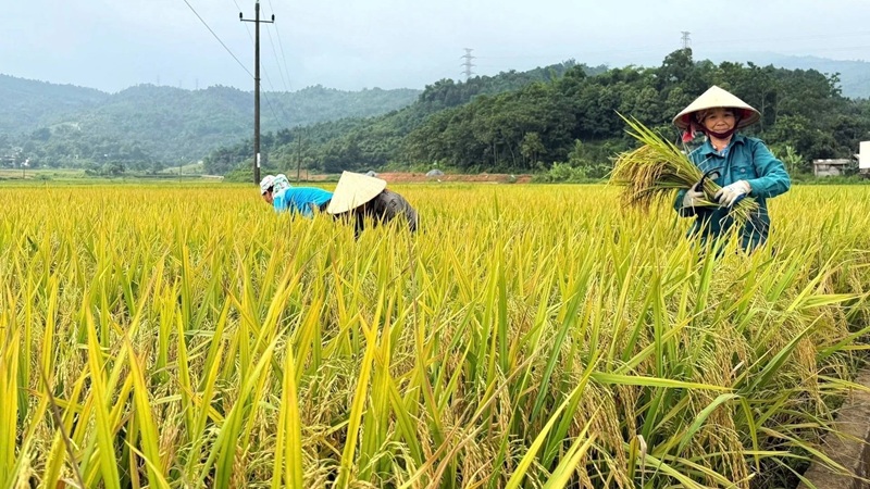 Lào Cai xây dựng nhãn hiệu “Phát thải thấp” cho nông sản chủ lực